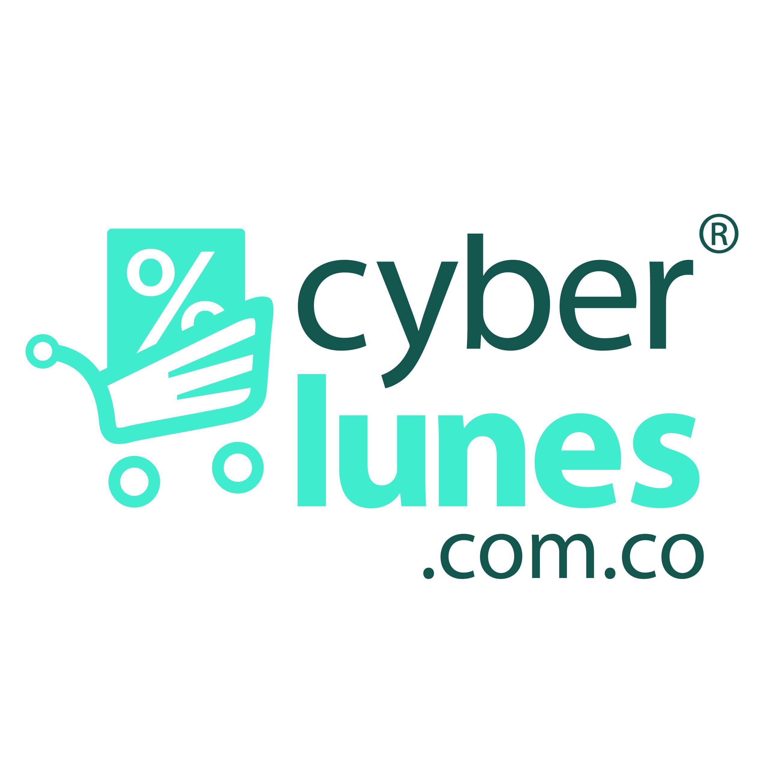 A propósito del Cyberlunes 8: mitos y realidades del comercio electrónico