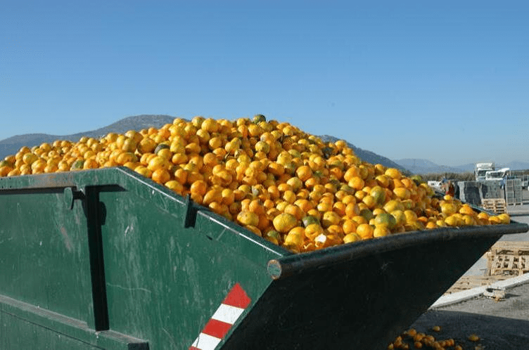 #SinDesperdicio, una campaña del BID para reducir desperdicio de alimentos en América Latina