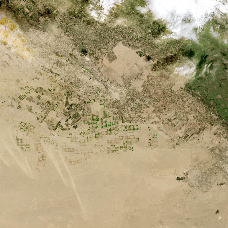 Cambio climático con IA