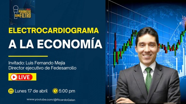 electrocardiograma a la economia