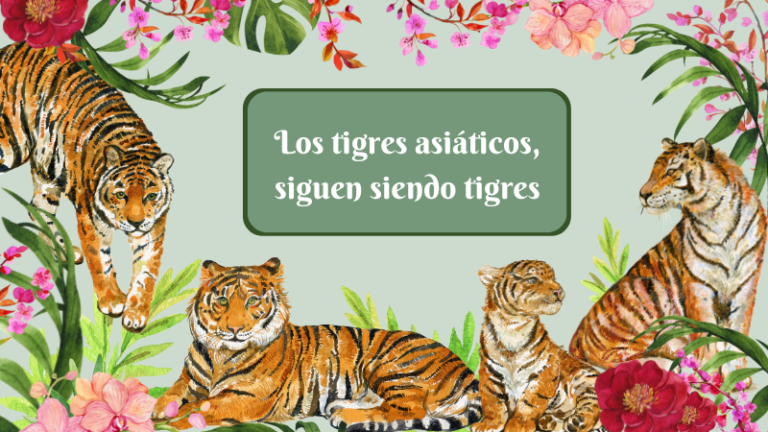 tigres