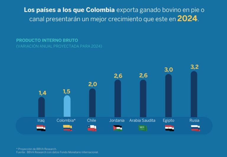 exportaciones de ganado